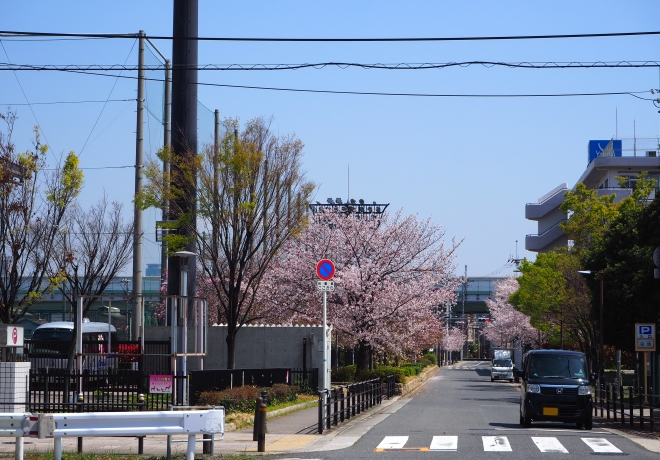 春の東邦自動車