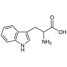 脳科学